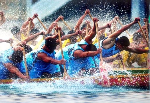 体验龙舟，助力岭南——雄松华章学员的福利来了!